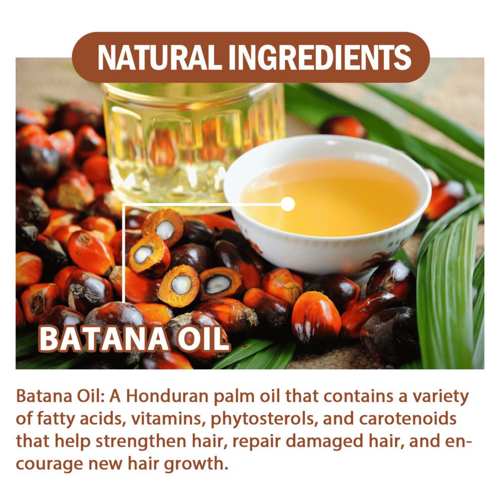 EELHOE Batana Oil Daily Conditioner - Soft Shiny Hair Care - Image 3