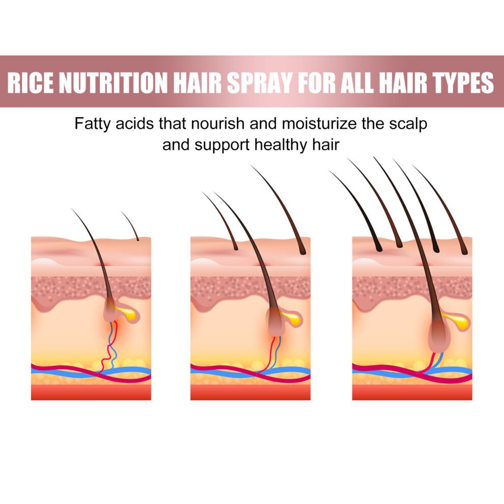 EELHOE Gentle Rice Hair Spray - Daily Nourish & Shine - Image 4