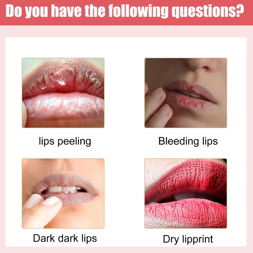 EELHOE Natural Cocoa Lip Balm - Daily Moisturizing & Nourishing Care - Image 4