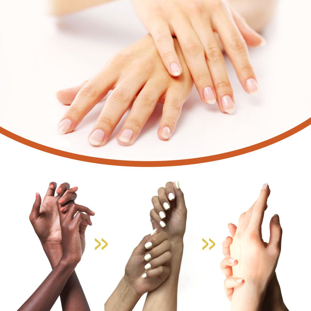 EELHOE Papaya Seed Nourishing Oil - Daily Care, Brighten & Moisturize Skin - Image 5