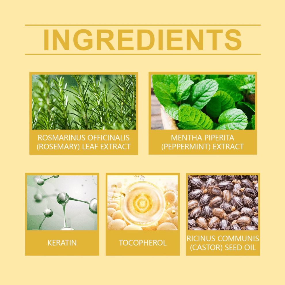 Hoegoa Rosemary Mint Hair Oil - Gentle Daily Care, Natural Shine - Image 5