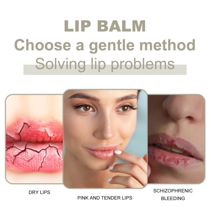 Hoygi Natural Lip Balm - Nourish & Soften Lips Daily Care - Image 3