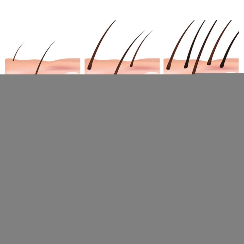 Jaysuing Batana Oil: Natural Daily Hair Nourishment for Soft, Fluffy Locks - Image 3