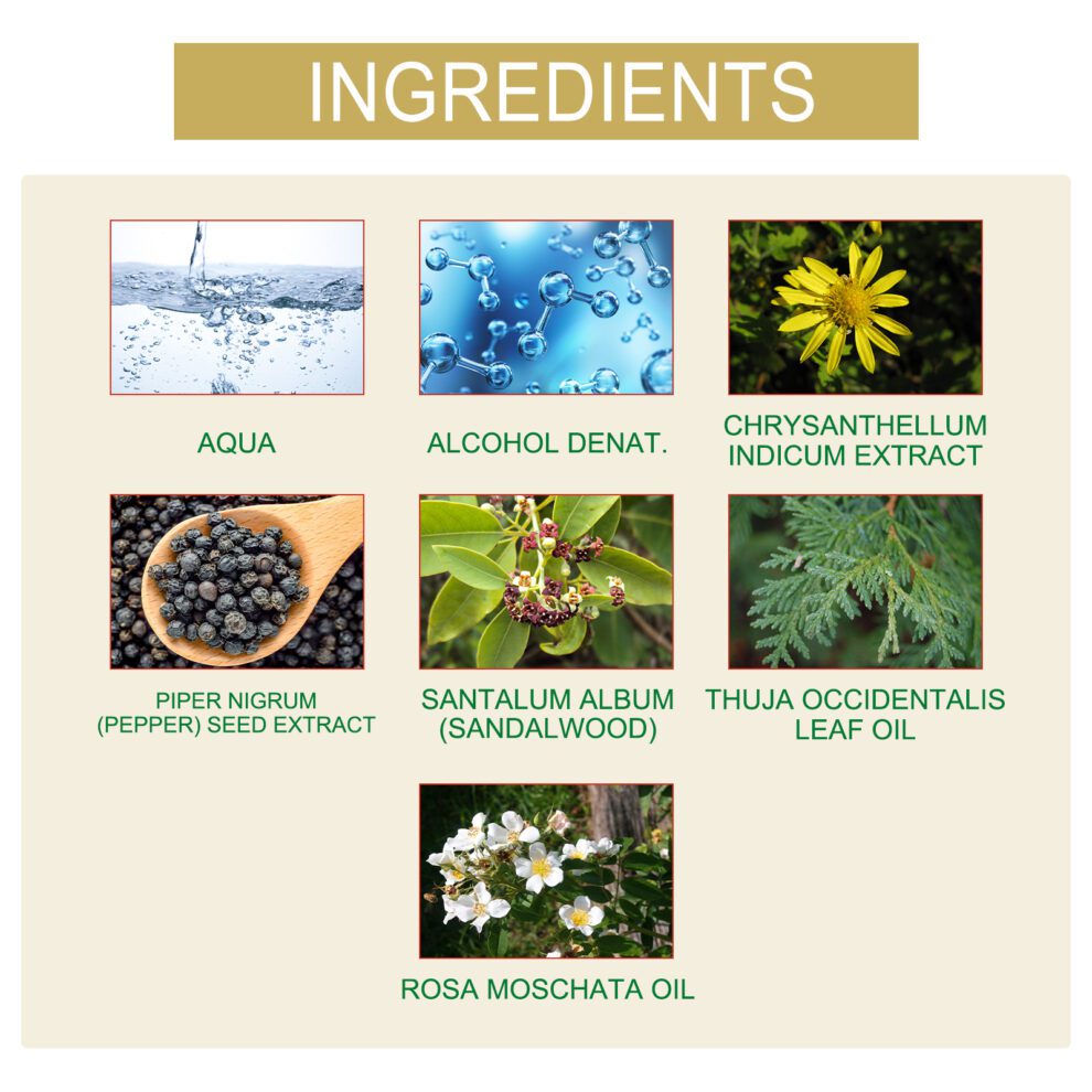 OUHOE Natural Charm Perfume: Fresh Lasting Scent for Daily Romance - Image 5