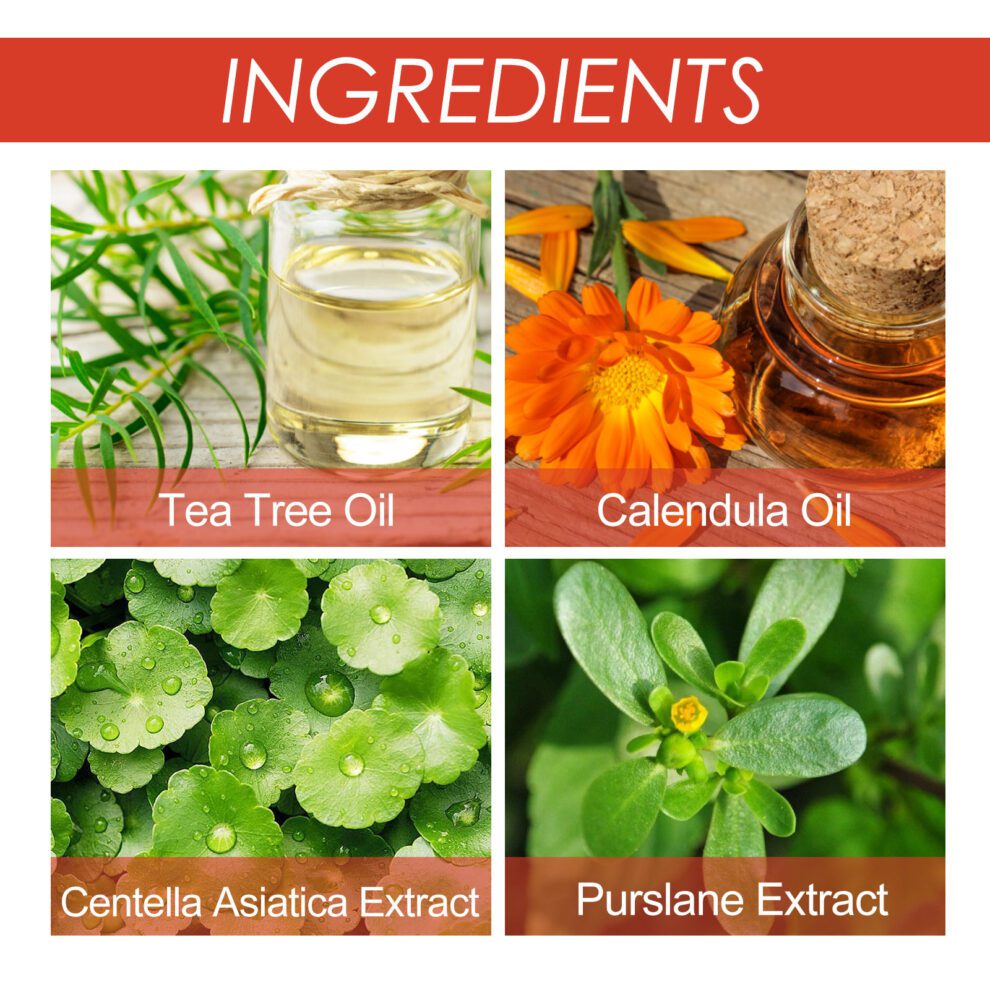 OUHOE Tea Tree Calendula Acne Spot Patch - Gentle Daily Care - Image 5