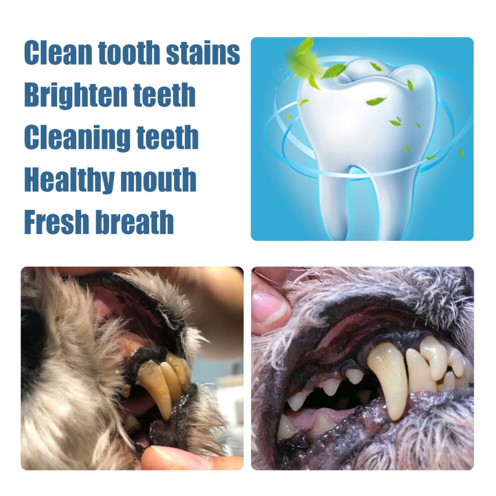 Pet Teeth Care Pen with Natural Ingredients - Fresh Breath Daily - Image 4