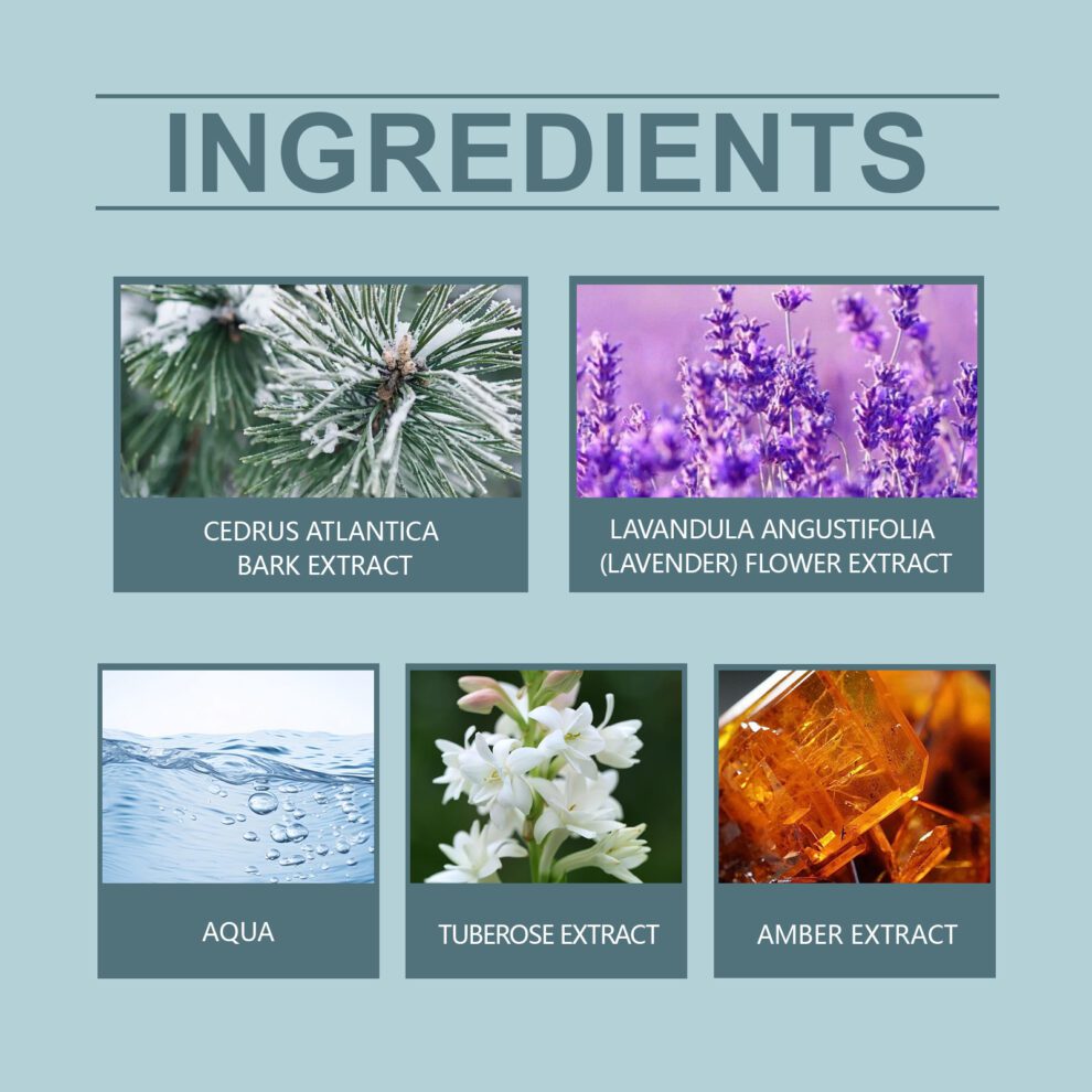 Roxelis Cedar Whisper Lavender Perfume: Fresh Natural Scent for Daily Charm - Image 5
