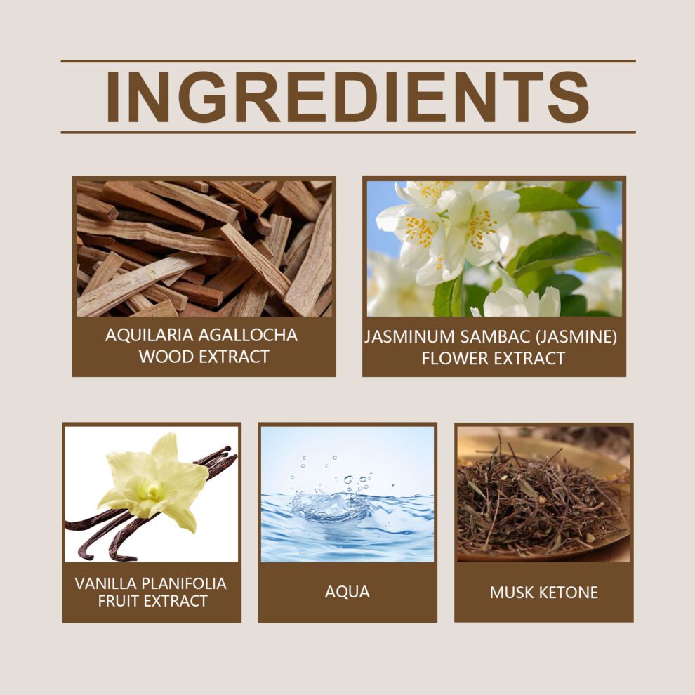 Roxelis Natural Wood Eau De Toilette - Fresh Daily Portable Fragrance - Image 5