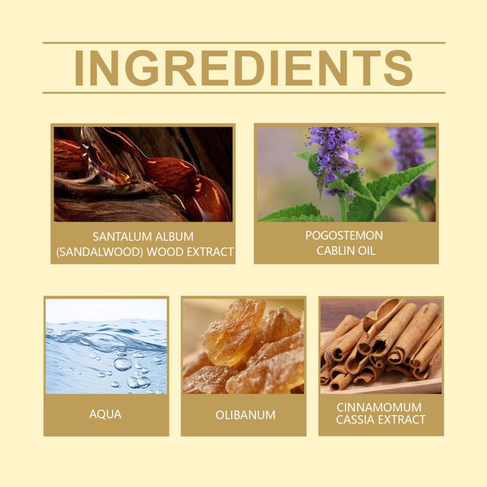 Roxelis Neutral Charm: Daily Natural Woody Perfume, Fresh & Elegant Vibe - Image 5