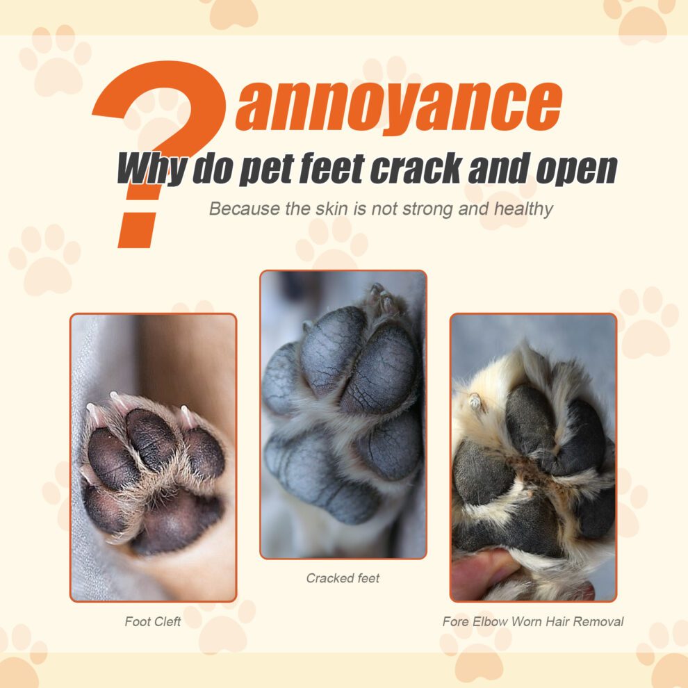 Yegbong Natural Paw Balm for Cats & Dogs | Daily Moisture Care - Image 3