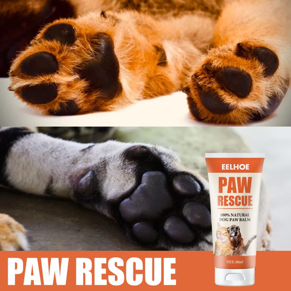 Yegbong Natural Pet Paw Cream - Gentle Daily Care for Cats & Dogs - Image 2