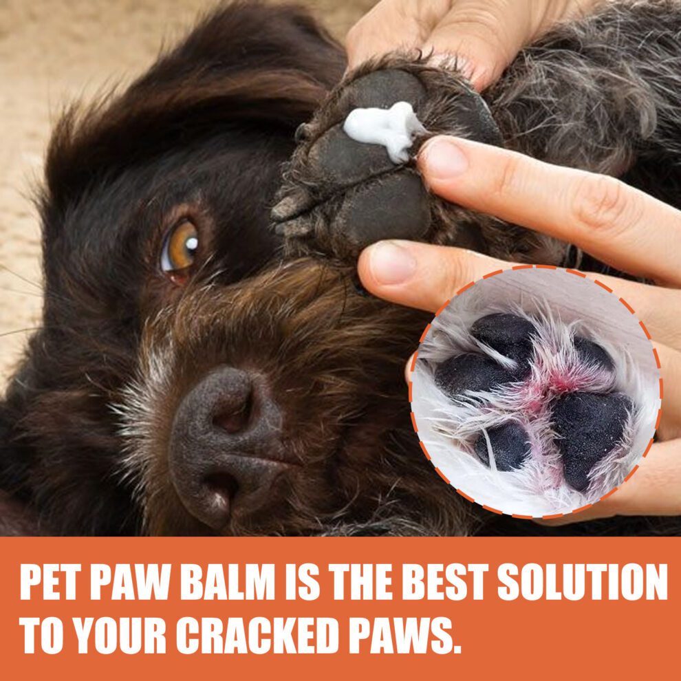 Yegbong Natural Pet Paw Cream - Gentle Daily Care for Cats & Dogs - Image 4