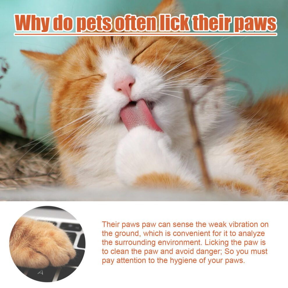 Yegbong Natural Pet Paw Cream - Gentle Daily Care for Cats & Dogs - Image 5
