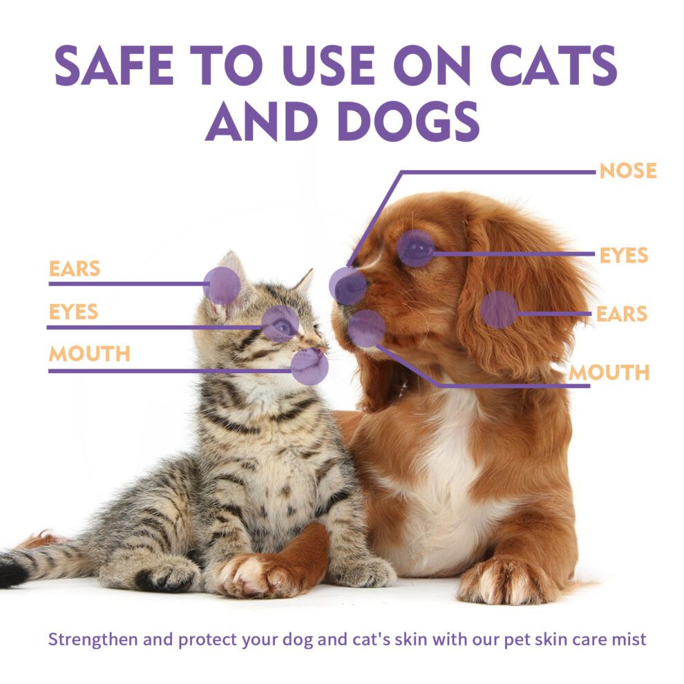 Yegbong Natural Pet Skin Care Spray - Gentle Daily Care for Dogs & Cats - Image 3
