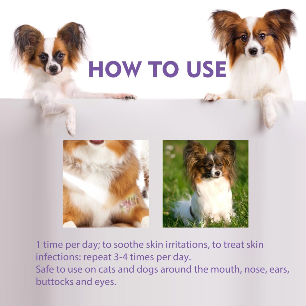 Yegbong Natural Pet Skin Care Spray - Gentle Daily Care for Dogs & Cats - Image 6