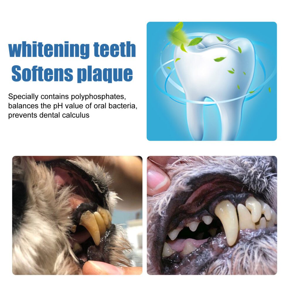 Yegbong Natural Pet Teeth Care Foam - Fresh Breath Daily - Image 3