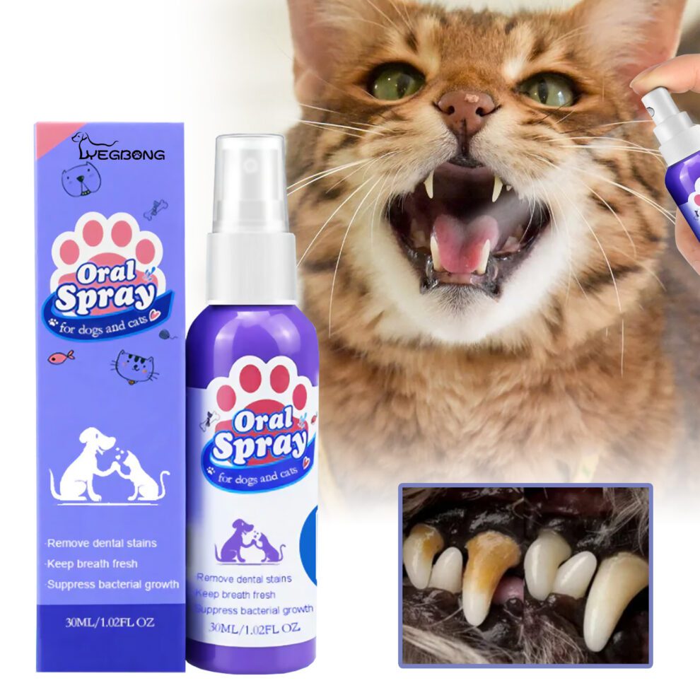 Yegbong Pet Fresh Breath Spray | Natural Daily Care for Cats & Dogs - Image 2