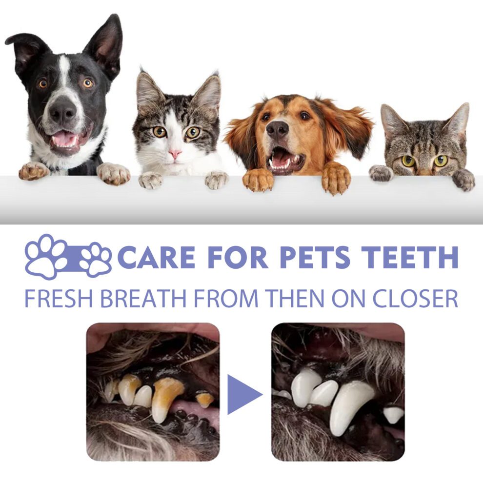 Yegbong Pet Fresh Breath Spray | Natural Daily Care for Cats & Dogs - Image 4