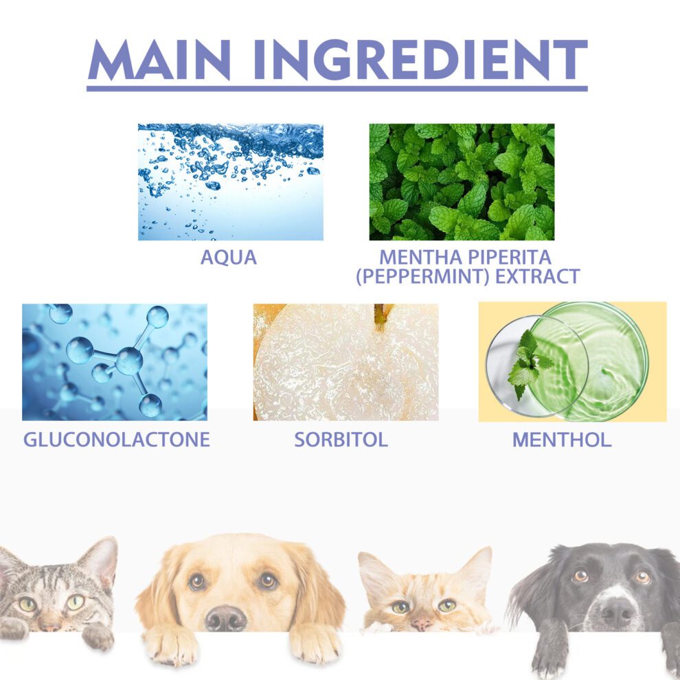 Yegbong Pet Fresh Breath Spray | Natural Daily Care for Cats & Dogs - Image 5