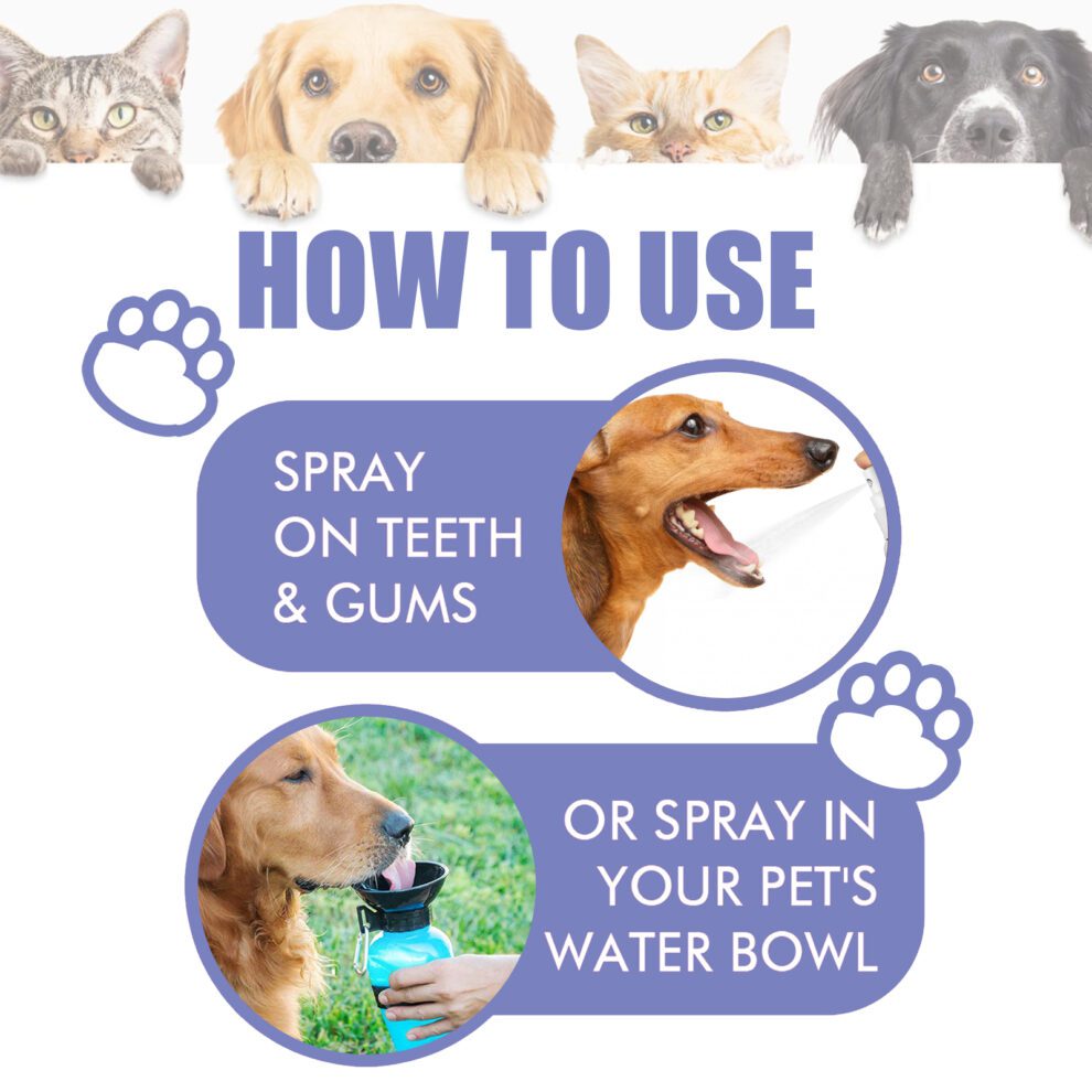 Yegbong Pet Fresh Breath Spray | Natural Daily Care for Cats & Dogs - Image 6
