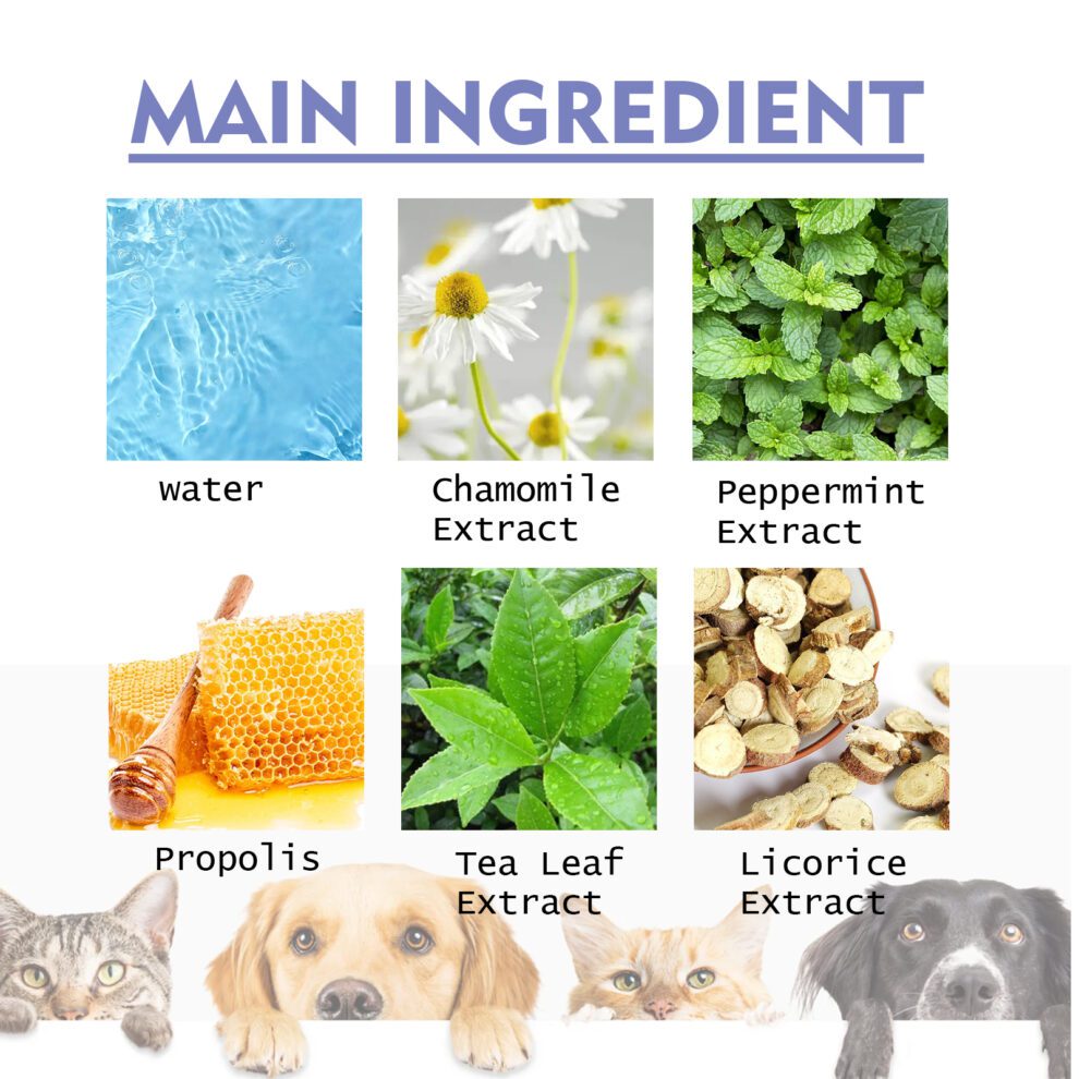 Yegbong Pet Fresh Breath Spray: Natural Daily Care for Dogs & Cats - Image 5
