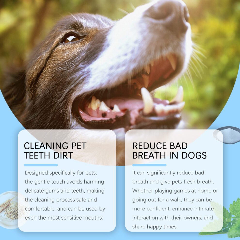 Yegbong Pet Toothbrush: Gentle Daily Care, Natural Oat for Fresh Breath - Image 3